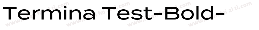 Termina Test-Bold字体转换